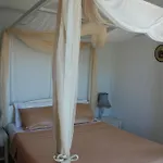 Kampos Naousa-marpisa Ambelas