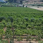 Kampos Naousa-marpisa Ampelas