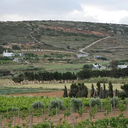 Kampos Naousa-marpisa Ambelas