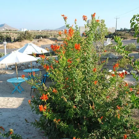 Hébergement de vacances Kampos Naousa-marpisa Ambelas