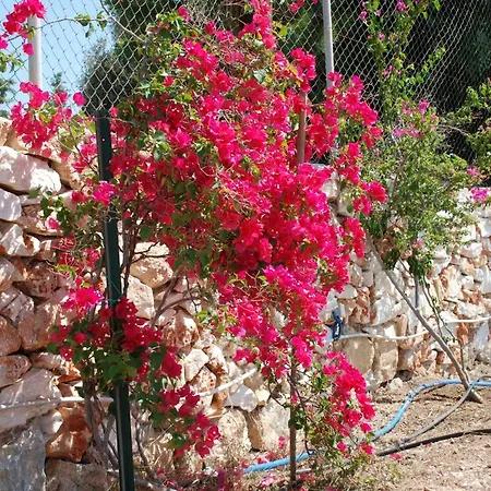 Dom wakacyjny Kampos Naousa-marpisa Ambelas