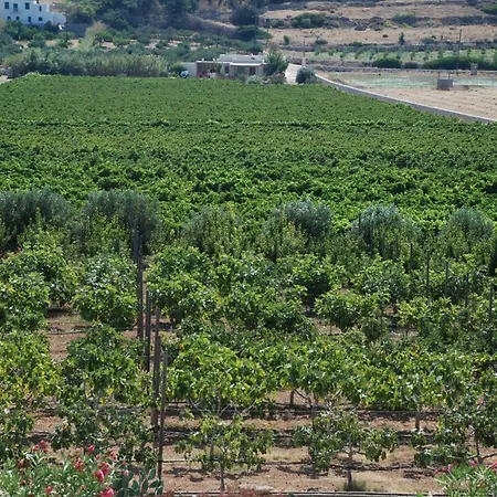 Kampos Naousa-marpisa Ambelas