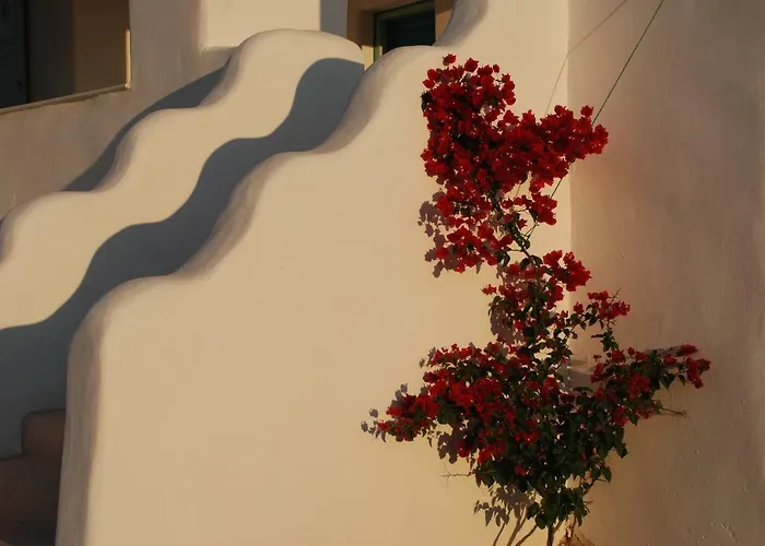 度假居 Kampos Naousa-marpisa 安倍拉斯