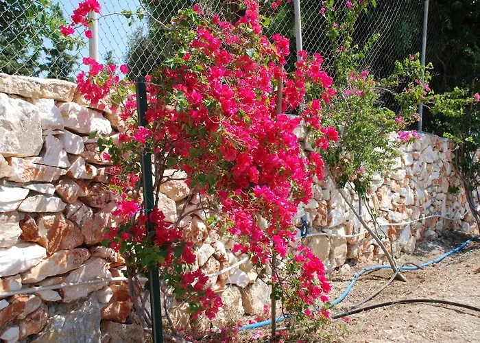 度假居 Kampos Naousa-marpisa 安倍拉斯