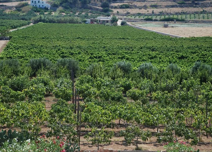 Kampos Naousa-marpisa 安倍拉斯